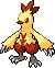 Shiny Female Combusken.png