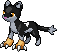 Melanistic Clawed Orkit